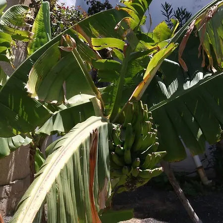 3c Fuerteventura Hébergement de vacances